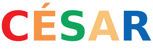 Réseau métier CESAR (RESINFO)